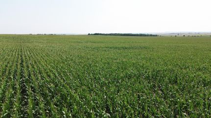 Farm and Ranch in Morton County, North Dakota