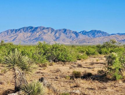 Timberland Property in Cochise County, Arizona