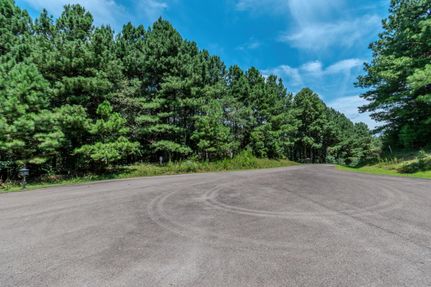 Undeveloped Land for sale in Gilmer County, Georgia