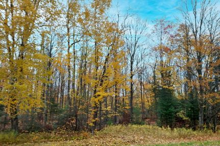 Recreational Property in Forest County, Wisconsin