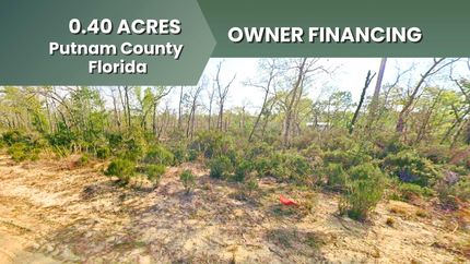 Undeveloped Land in Putnam County, Florida