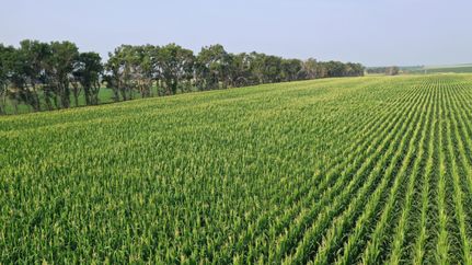 Undeveloped Land in Hamlin County, South Dakota
