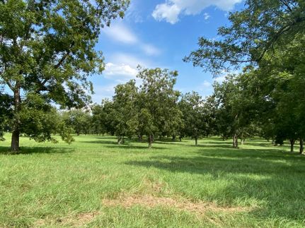 Farm and Ranch in Covington County, Alabama