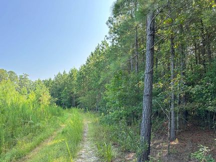 Recreational Property in Southampton County, Virginia