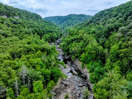 Timberland Property in Nicholas County, West Virginia