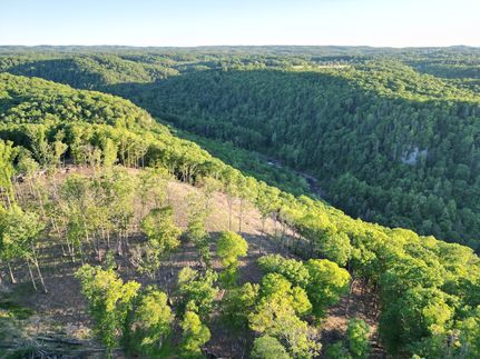 Undeveloped Land in Nicholas County, West Virginia