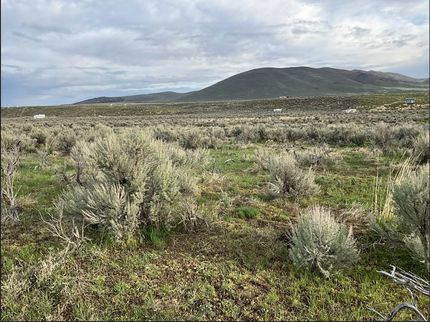 Farm and Ranch in Elko County, Nevada