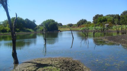 Recreational Property in Callahan County, Texas
