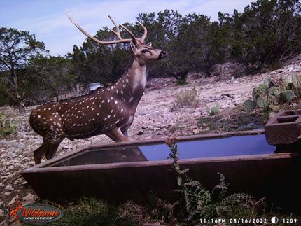 Farm and Ranch for sale in Kerr County, Texas