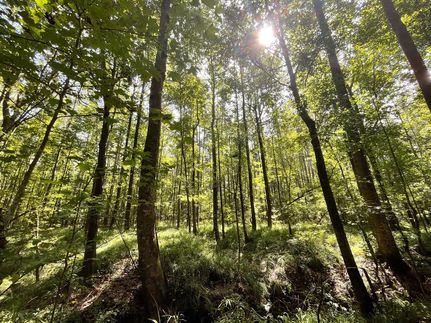 Recreational Property in Bullock County, Alabama