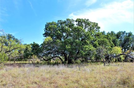 Undeveloped Land in Mills County, Texas