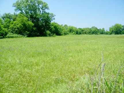 Timberland Property in Pottawatomie County, Oklahoma