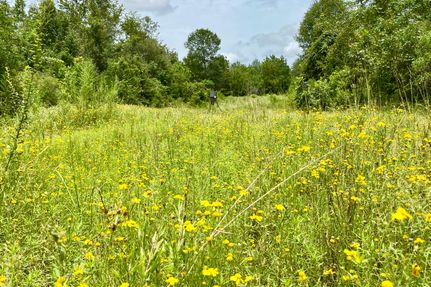 Farm and Ranch in East Feliciana Parish, Louisiana