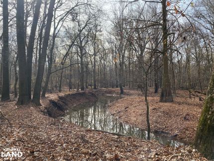 Recreational Property in Monroe County, Arkansas