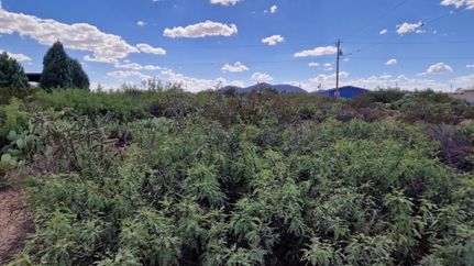 Farm and Ranch in Dona Ana County, New Mexico