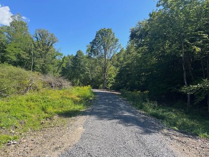 Timberland Property in Randolph County, West Virginia