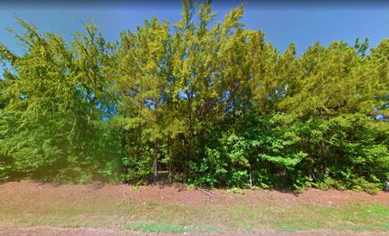 Undeveloped Land in Marion County, Texas