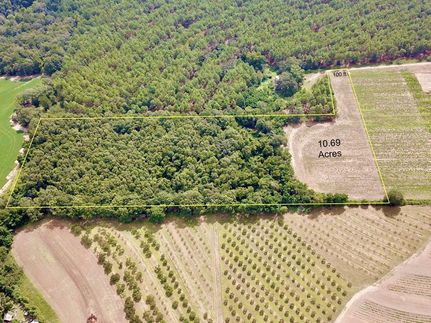 Undeveloped Land in Geneva County, Alabama