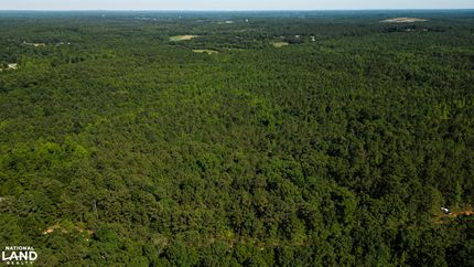 Timberland Property in Tippah County, Mississippi