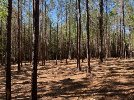Land in Chambers County, Alabama