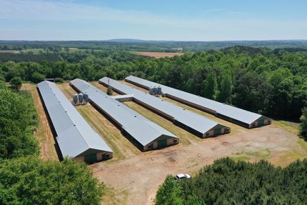 Farm and Ranch in Randolph County, Alabama