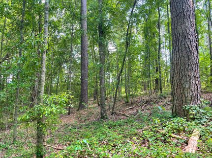 Farm and Ranch in Barbour County, Alabama