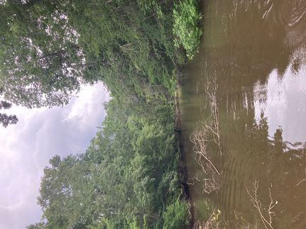Riverfront Property in Dallas County, Alabama