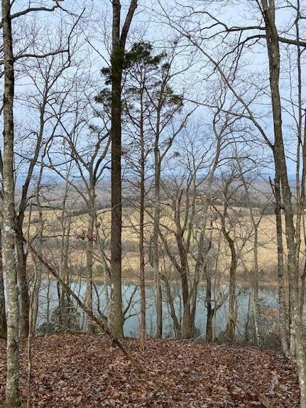 Recreational Property in Meigs County, Tennessee