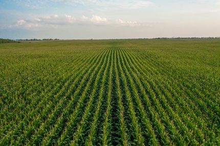 Land in Codington County, South Dakota
