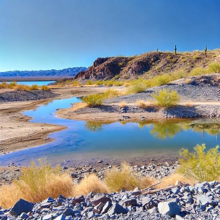 Riverfront Property in Mohave County, Arizona