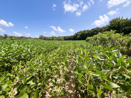 Farm and Ranch in Pontotoc County, Mississippi