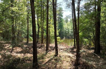 Farm and Ranch in Jones County, Mississippi