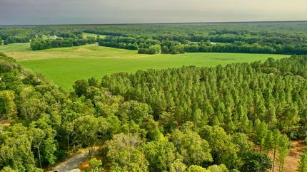 Timberland Property in Fauquier County, Virginia