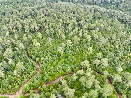 Land in Macon County, Georgia