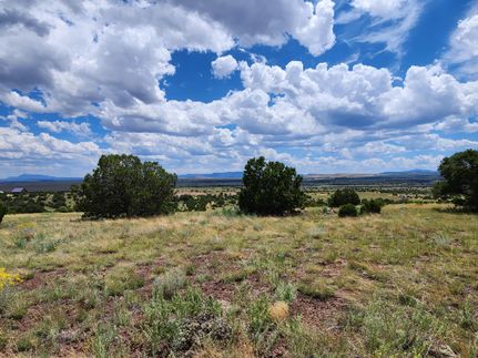 Land for sale in Catron County, New Mexico
