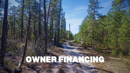 Undeveloped Land in Putnam County, Florida