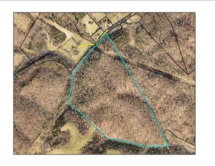 Timberland Property in Washington County, Kentucky