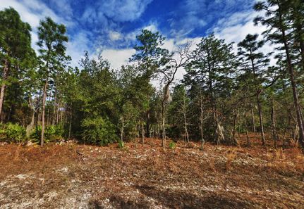 Timberland Property in Putnam County, Florida