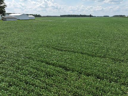 Farm and Ranch in Wells County, Indiana