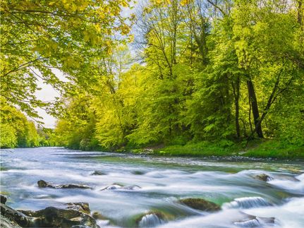 Timberland Property for sale in Sequatchie County, Tennessee