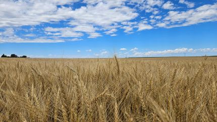 Land in Deuel County, Nebraska