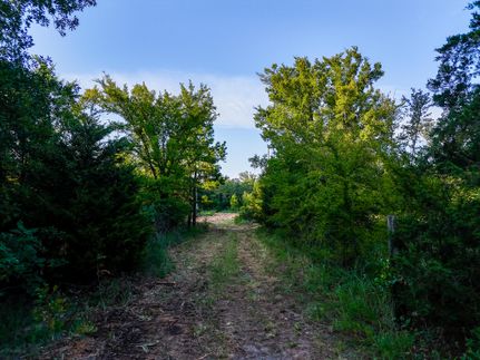 Timberland Property in McIntosh County, Oklahoma