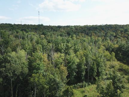 Undeveloped Land in Tioga County, Pennsylvania