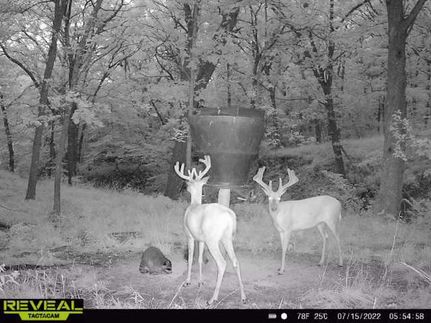 Farm and Ranch in Decatur County, Iowa