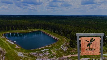 Farm and Ranch for sale in Nassau County, Florida