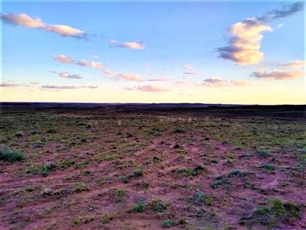Undeveloped Land in Apache County, Arizona