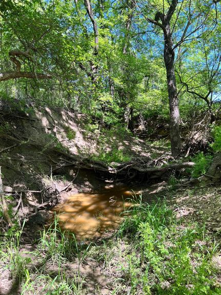 Undeveloped Land for sale in Comanche County, Texas