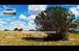 Undeveloped Land in Apache County, Arizona