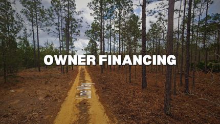 Undeveloped Land in Putnam County, Florida