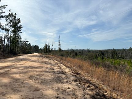 Timberland Property in Jackson County, Florida